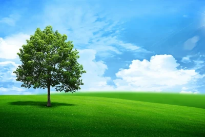 KHỐI LÁ TUẦN 1: CÂY XANH VÀ MÔI TRƯỜNG SỐNG 