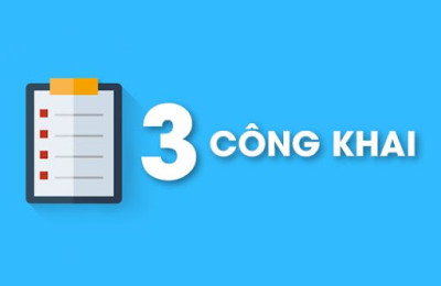 BÁO CÁO CÔNG KHAI TRƯỜNG MẦM NON HOA SEN NĂM HỌC 2024 - 2025