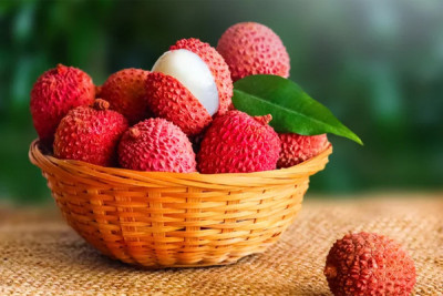 KHỐI LÁ  TUẦN 3: CÁC LOẠI QUẢ 